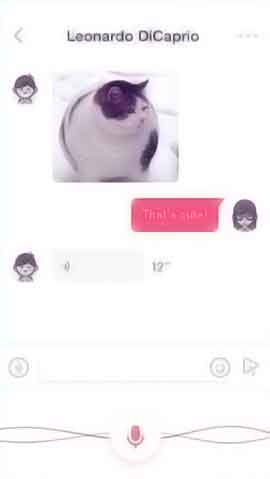 DDOS攻击软件程序维护界面